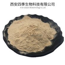 核桃粉 速溶 核桃仁粉 喷雾干燥 四季生物 厂家