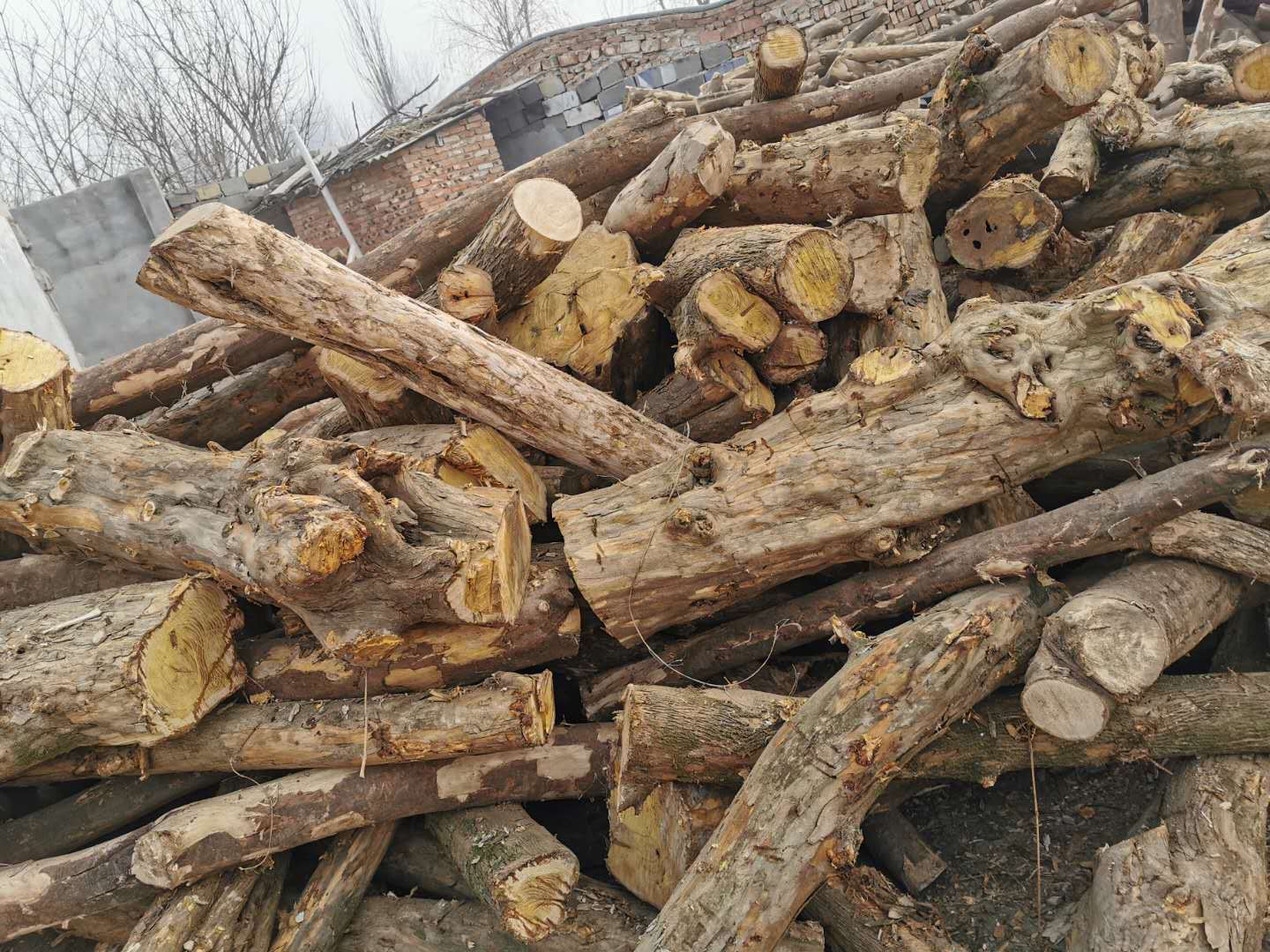 大量供应用于工艺品/木雕料柘木木材