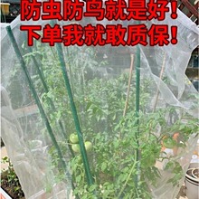 防鸟防虫网罩果树蔬园艺防冰雹病虫害蚊虫果蝇针蜂透明白纱网套罩