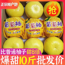 爆汁黄金葡萄柚超甜福建平和柚子新鲜水果当季台湾西柚批发薄皮