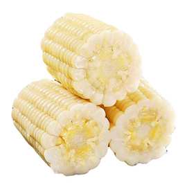 速冻白糯玉米段 白糯玉米段 冷冻白玉米段 冷冻蔬菜 玉米段批发