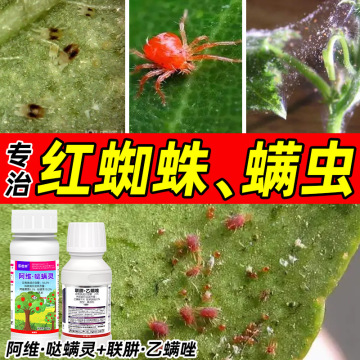 红蜘蛛专用药杀螨剂杀虫剂阿维菌素哒螨灵联苯肼酯乙螨唑果树柑橘