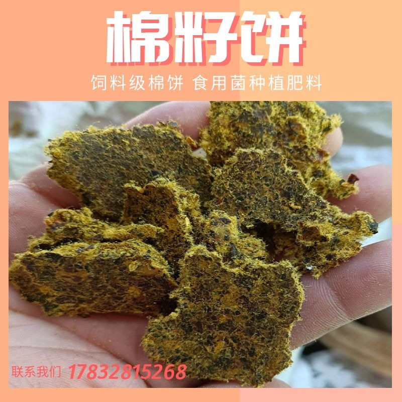 棉籽饼厂家现货销售食用菌种植肥料牛马羊植物性饲料