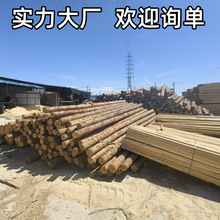 天津工厂樟子松烘干实木原木木方实木板垫木批发免费拿样