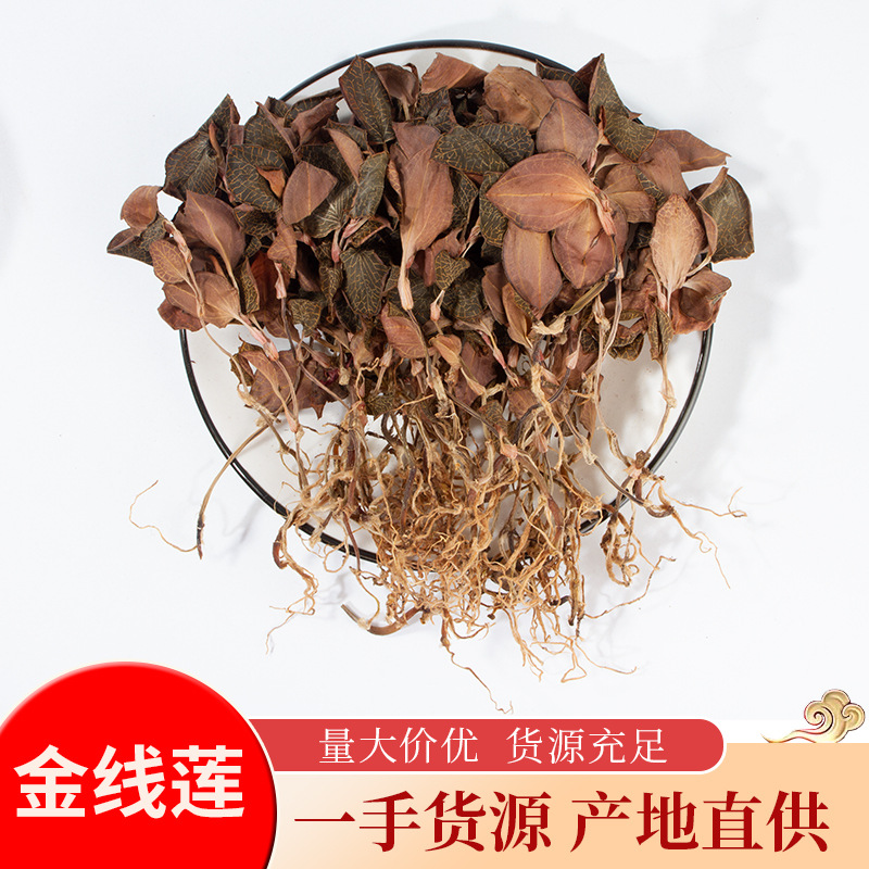 金线莲福建产地直供批发林下原生态整株金线连干品散装滋补养生茶