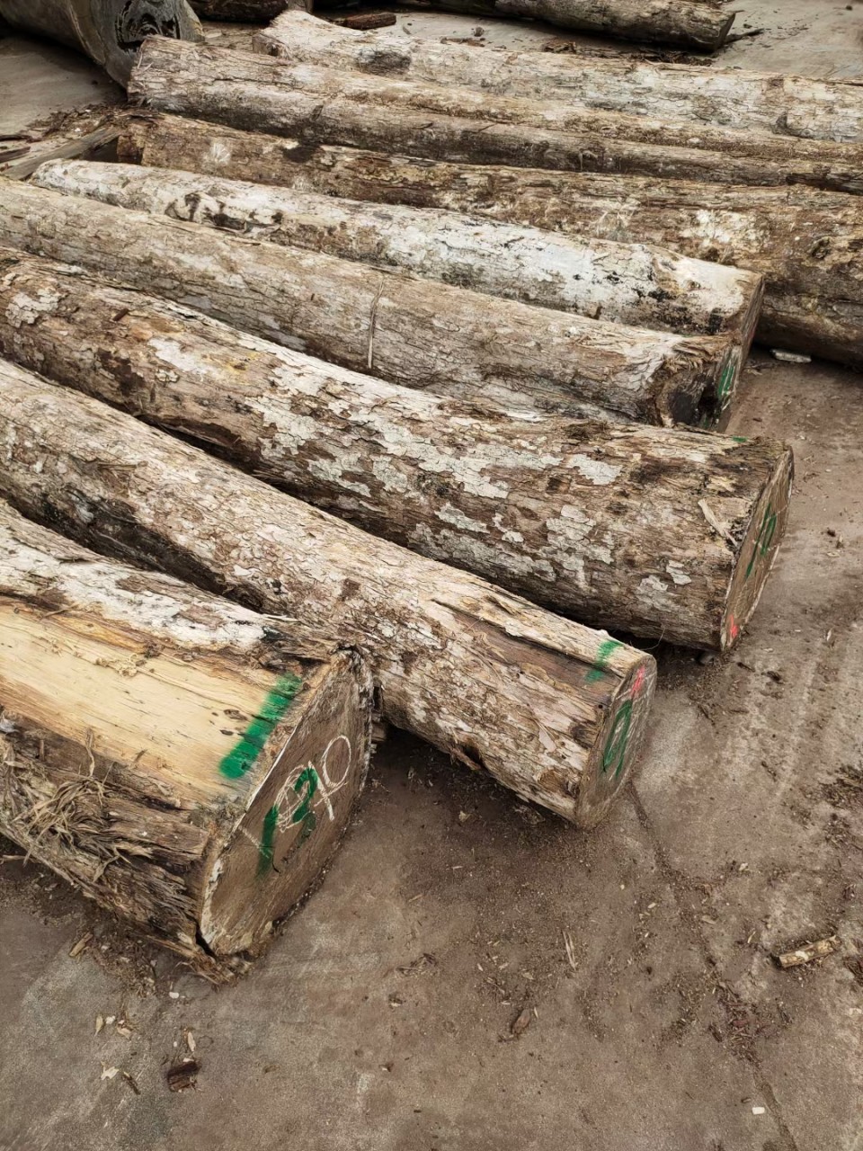 黑柿木 黑柿木原木 破布木 黑檀木 墨西哥黑柿木 黑柿子 家具