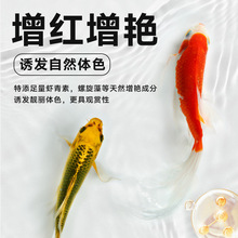 锦鲤鱼食小颗粒三合一观赏鱼粮锦鲤金鱼专用粮鱼饲料批发