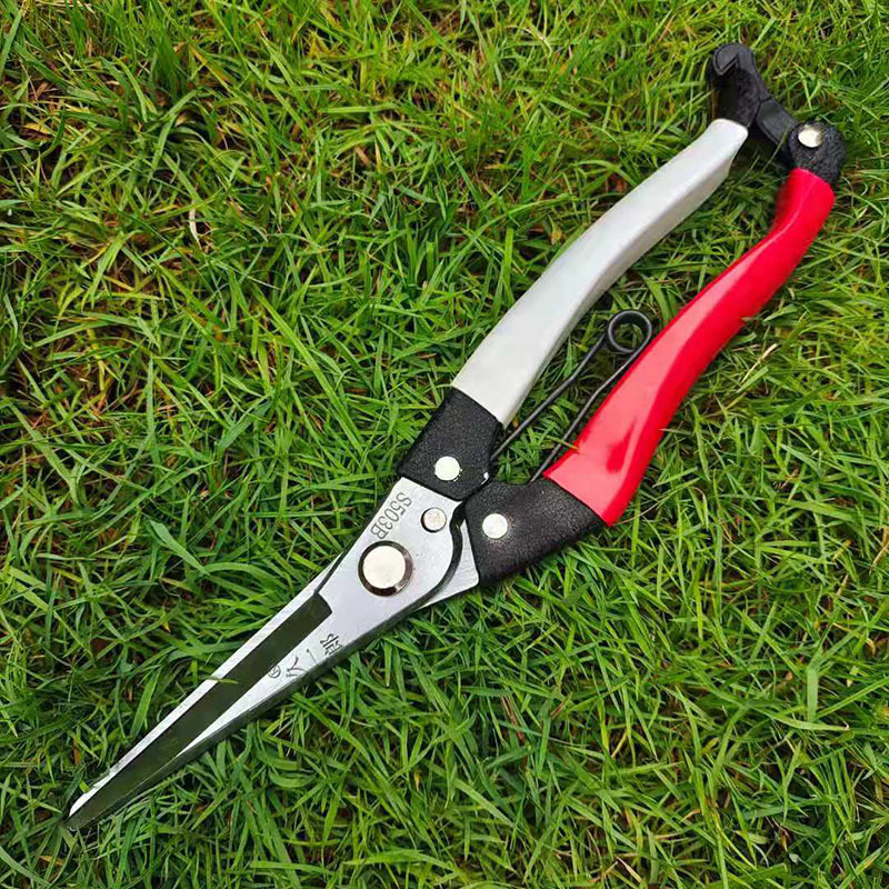 久一郎果树稀果剪园艺剪刀嫩芽剪疏花剪花木疏果剪刀葡萄枝条剪刀