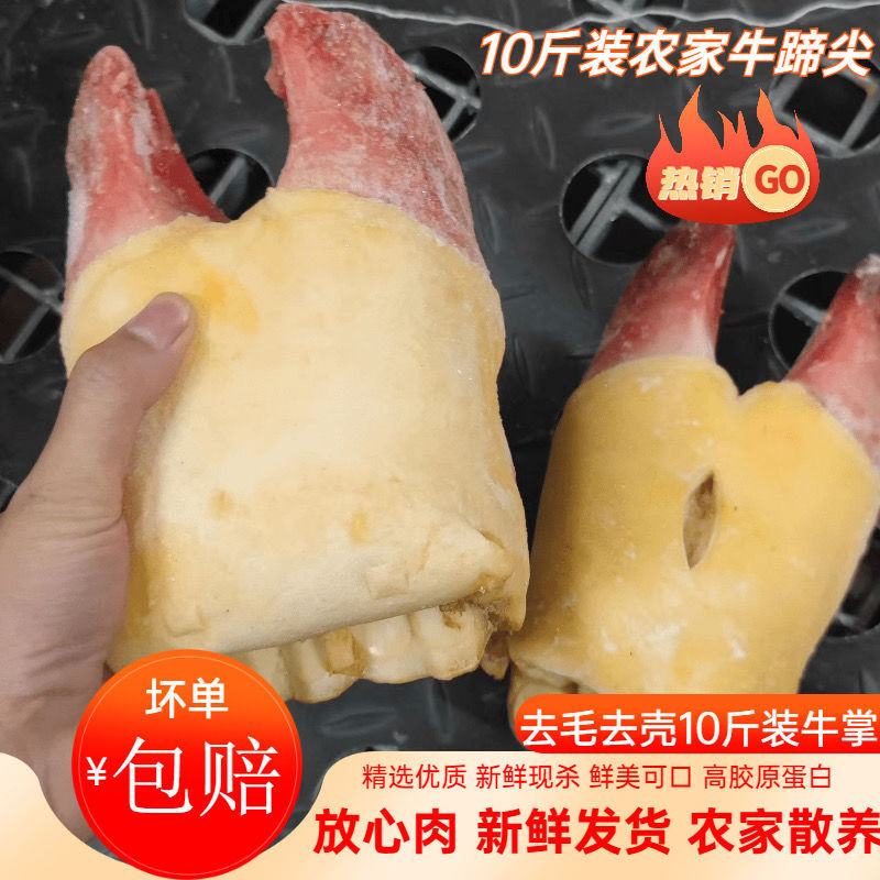 10斤装牛蹄牛掌去毛牛脚牛手牛爪头新鲜冷冻黄牛蹄整只可切块3斤