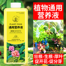 营养液植物通用型植物营养液各种花的养花增根壮花绿植专用营养液