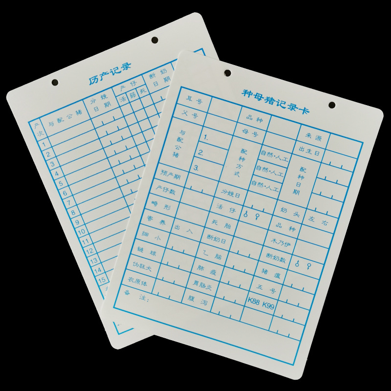 种母猪记录卡加厚繁育卡空白挂牌养猪卡种猪纪录卡片猪床头档案卡