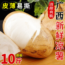 广西凉薯10斤新鲜现挖农家当季蔬菜白地瓜豆薯番薯沙葛山芋包邮5