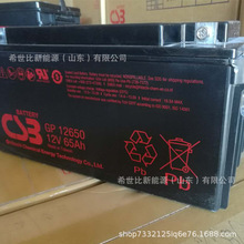 CSB蓄电池GP121000计算机备用电源12V100AH直流屏航空铁路UPS电源