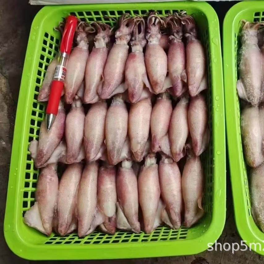 笔管鱿鱼籽乌 熟冻海兔子满籽半籽 乌贼八爪鱼全籽乌小墨鱼仔