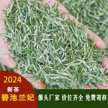 兰妃花茶兰花茶2024年新茶碧池兰贵人白毫兰妃茶叶现货批高档茶叶