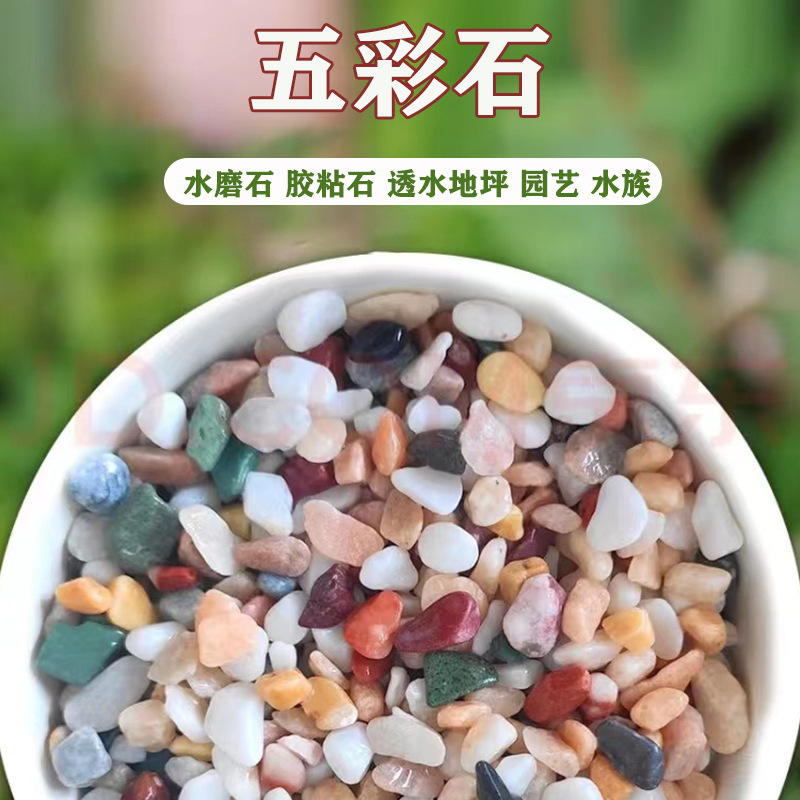 五彩石彩色石子水洗石地坪胶粘石水磨石骨料园艺鱼缸底砂五彩石
