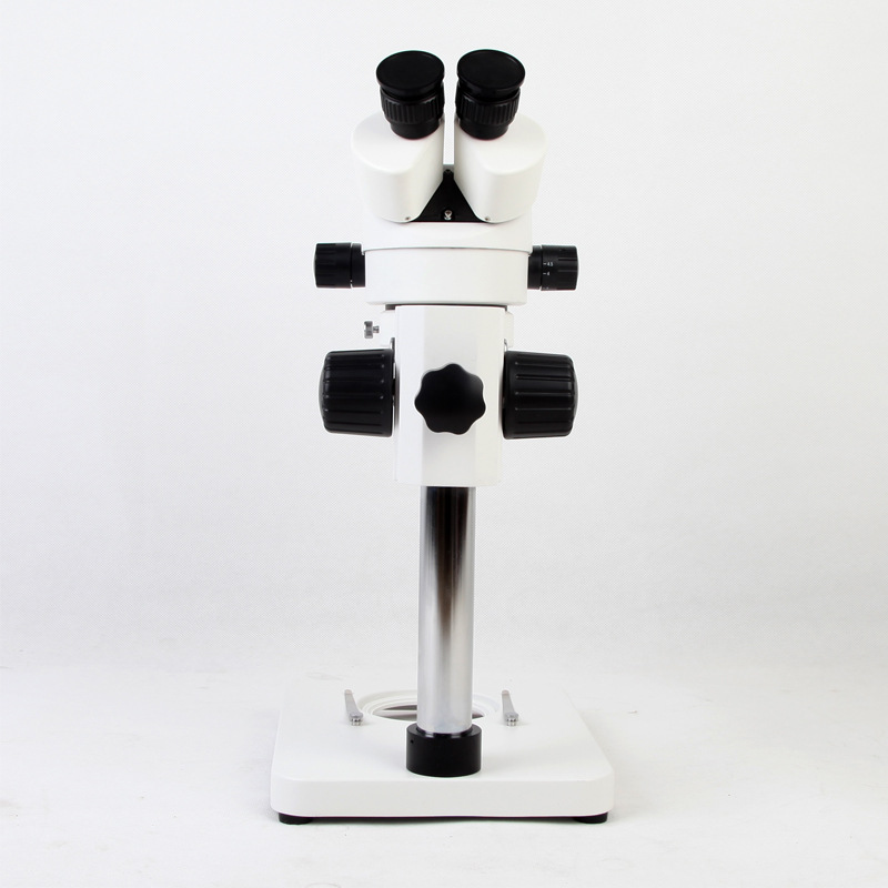 厂家直供双筒体式显微镜40x教学仪器实验设备 体式显微镜