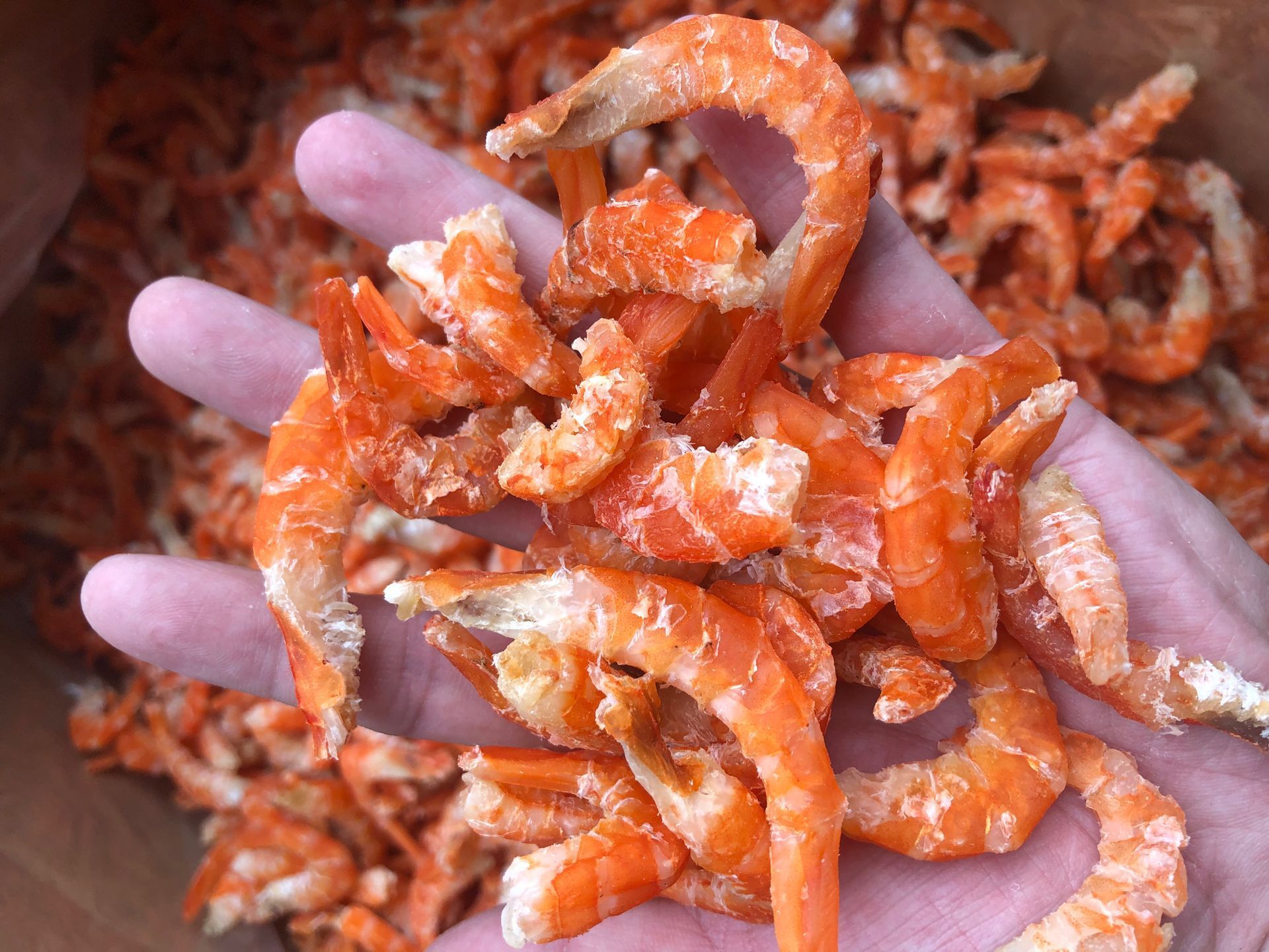 大虾米(海米)一件30斤