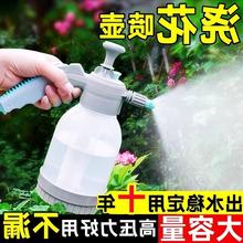 浇花喷壶气压式喷水壶喷雾器小型家用高压力打药2L打农药清洁