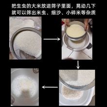 大米筛子去米虫筛碎米家用细孔分样筛304不锈钢筛子圆形过滤筛网