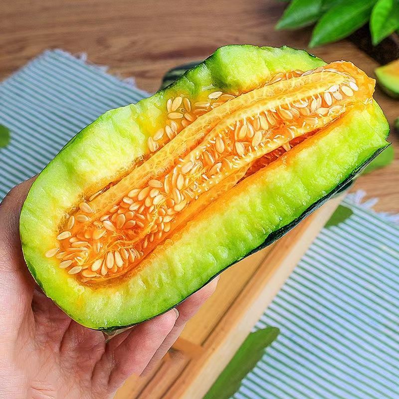 羊角蜜山东博洋9号甜瓜现摘头茬新鲜水果当季蜜瓜脆瓜香瓜九号