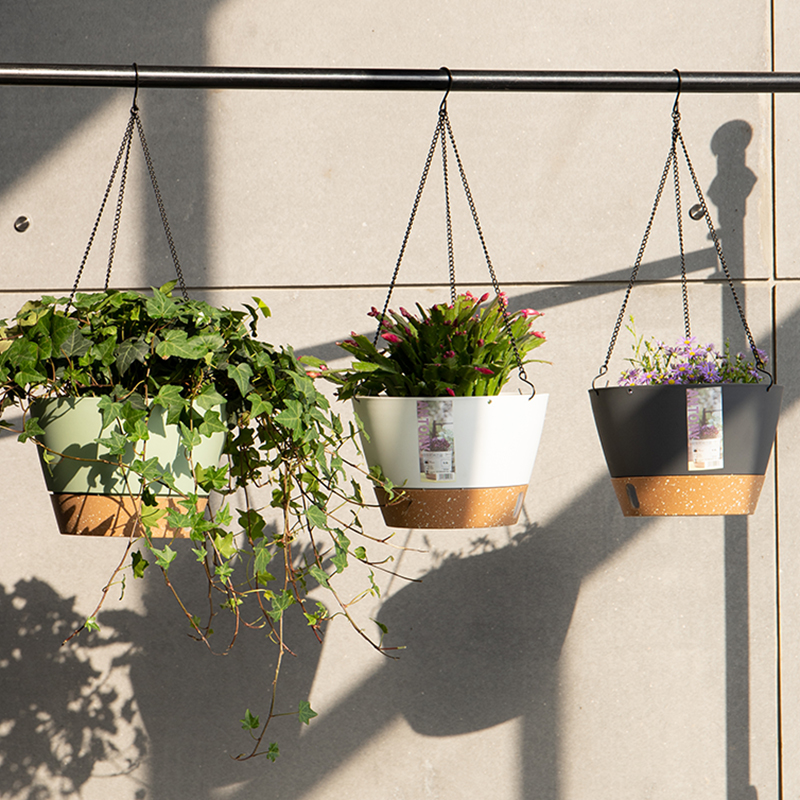 安东尼吊兰花盆室内垂吊悬挂式吊篮花盆绿萝常春藤家用阳台垂吊盆