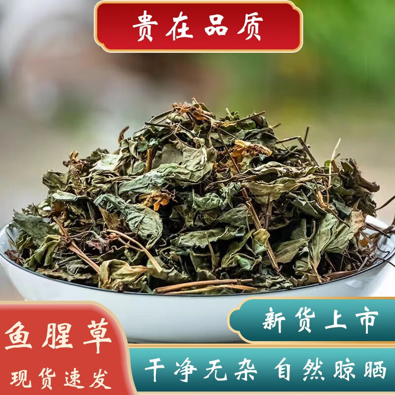 精选鱼腥草中药材500克非野生鱼腥草茶折耳根新鲜干货鱼腥草泡水