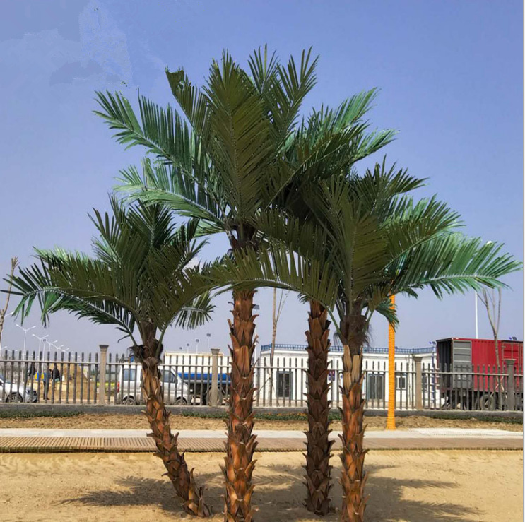 保鲜棕榈树厂家
