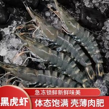 生冻黑虎虾九节虾鲜活冰鲜速冻大虾草虾大号虎头虾鬼头虾海虾海鲜