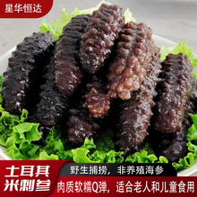 即食海参进口野生单只独立真空装速食非干货厂家批发土耳其米刺参