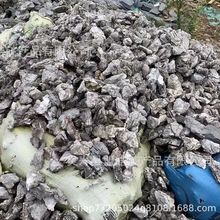 批发原石青龙石水族鱼缸造景石微景观造景园林假山石厂家批发量大