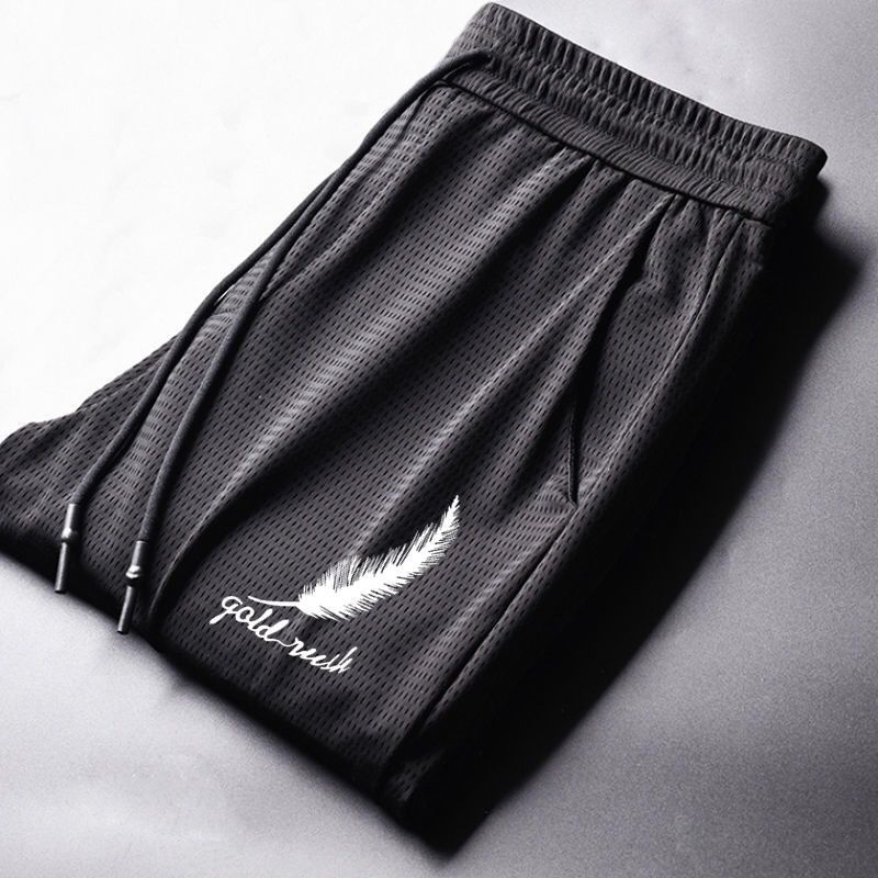 Summer Mesh Ice Silk Elastic Pants Men's Air Conditioning Casual Thin Sports Korean Style Student plus Size Slim-Fit Ankle-Tied Pants