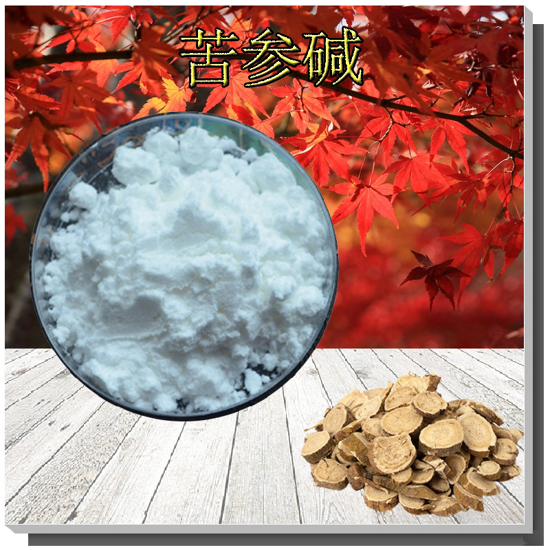 苦参碱98%支持检测母菊碱无中间商苦参总碱519-02-8苦参提取物