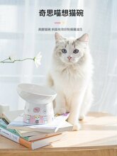 猫碗陶瓷保护颈椎防打翻高脚猫食盆斜口饮水猫粮碗狗碗宠物猫用品