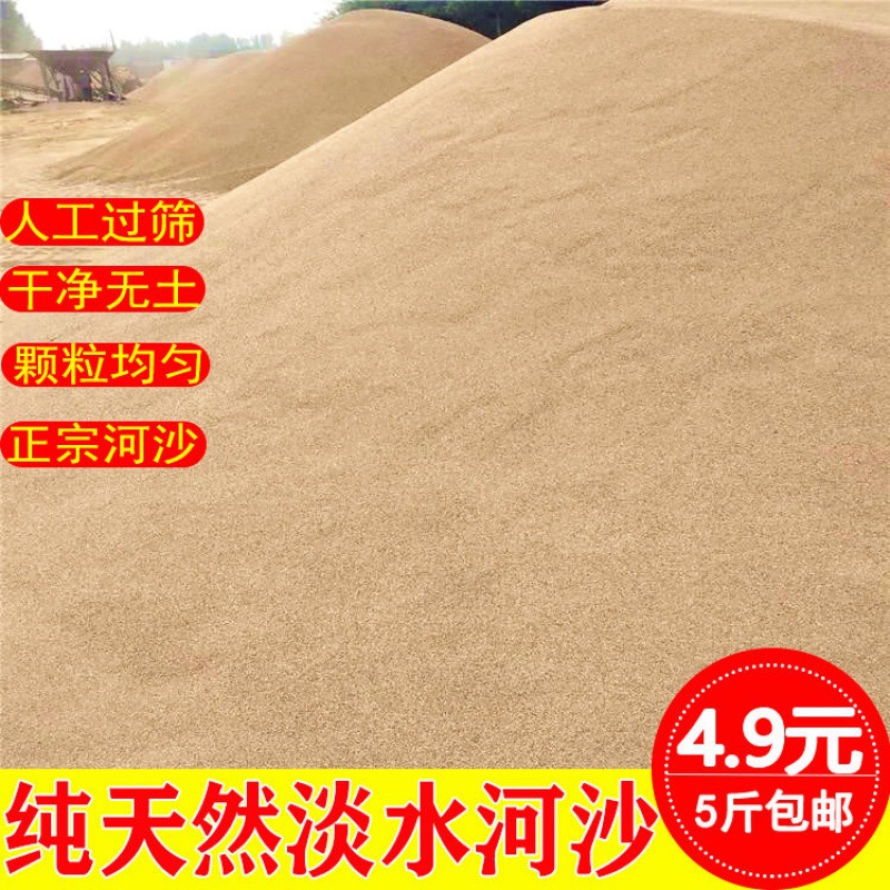 鱼缸造景底砂河沙细沙种花沙子水族乌龟冬眠多肉铺面沙子批发批发