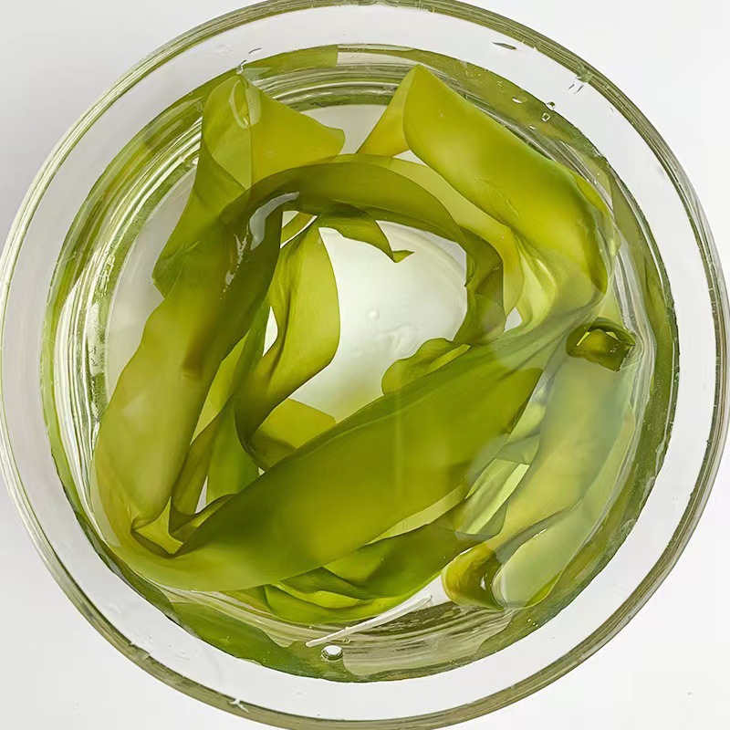 霞浦特产海带嫩苗 500克/袋 新鲜嫩芽火锅食材凉拌海带整箱批发