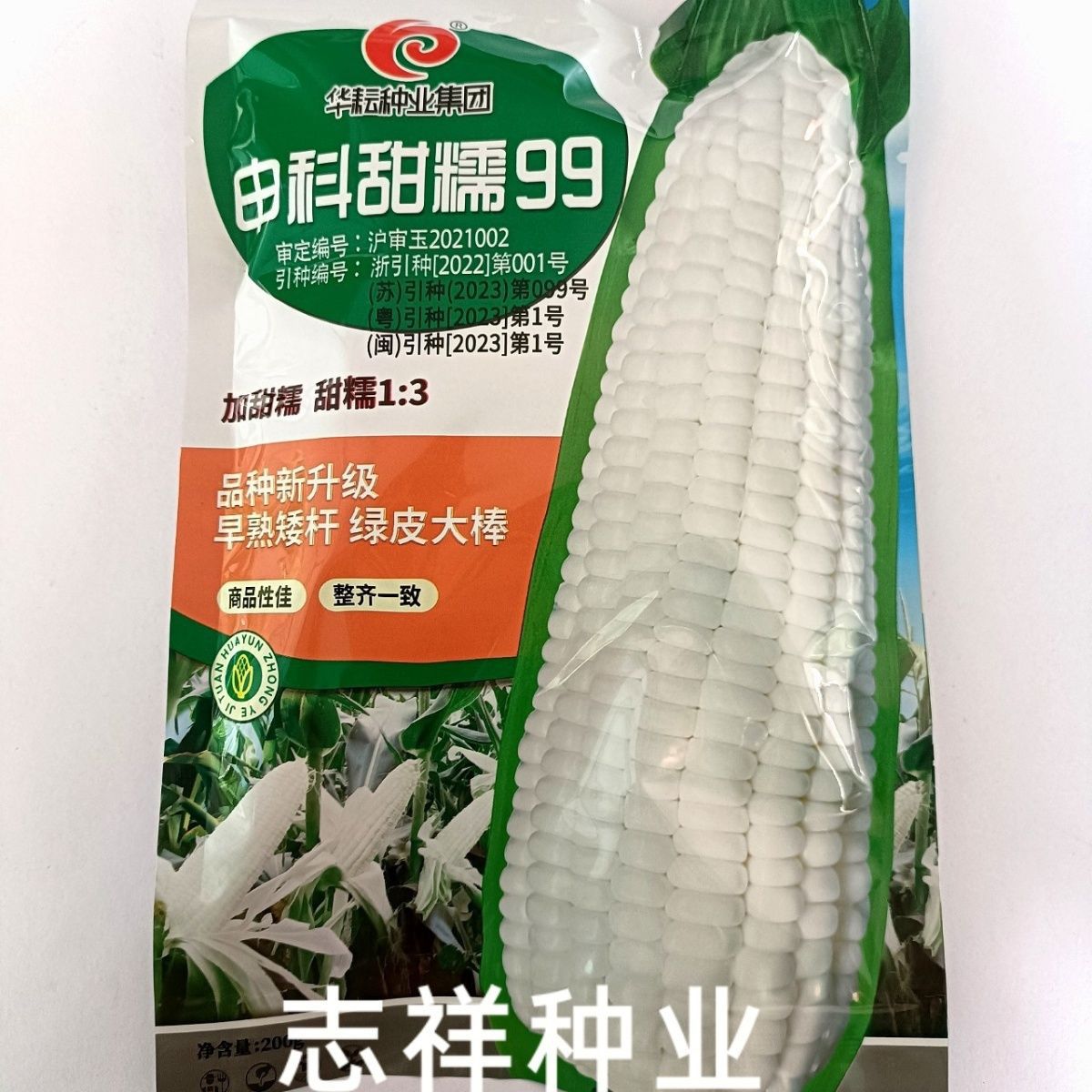 华耘种业申科甜糯99白甜糯玉米种子早熟矮杆鲜食玉米g