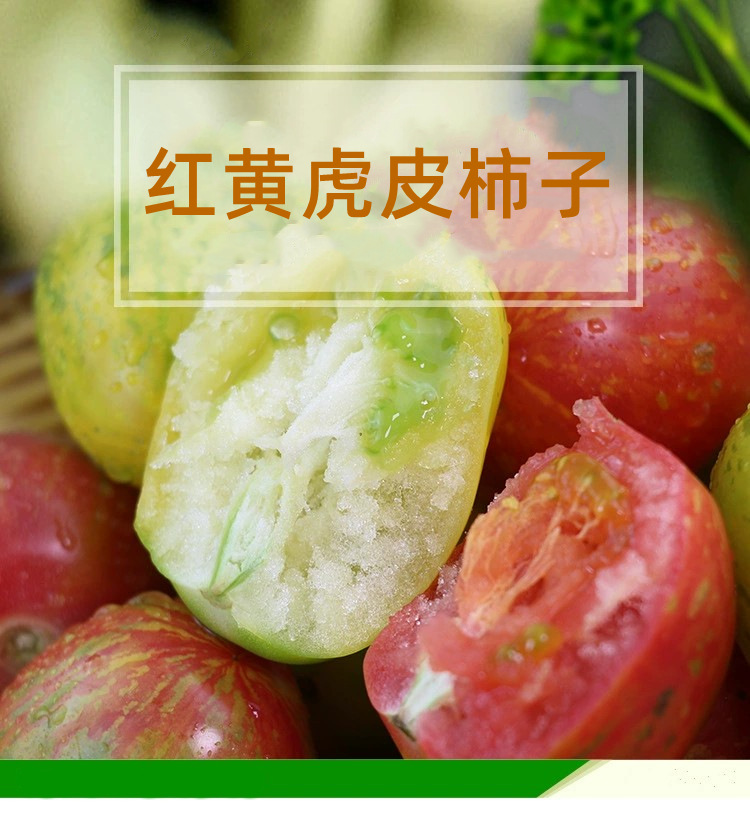 东北4斤红黄虎皮柿子花皮球黄柿子番茄新鲜蔬菜西红柿
