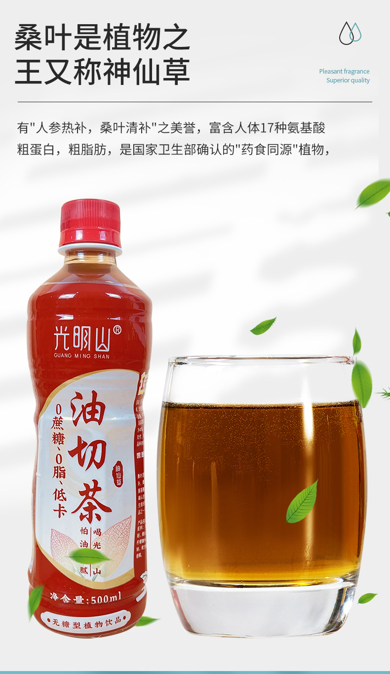 光明山无糖桑叶油切茶整箱批发低 脂低 卡油切茶清补500ml*15瓶