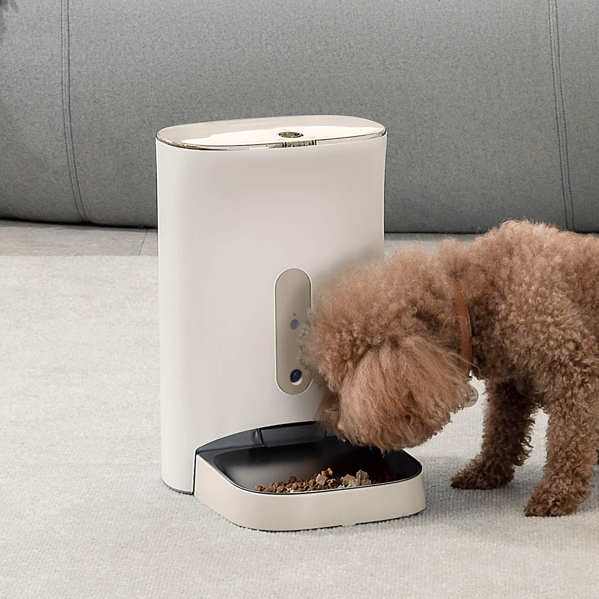 5l宠物智能喂食器带wifi/摄像头/app远程遥控猫狗投喂-阿里巴巴