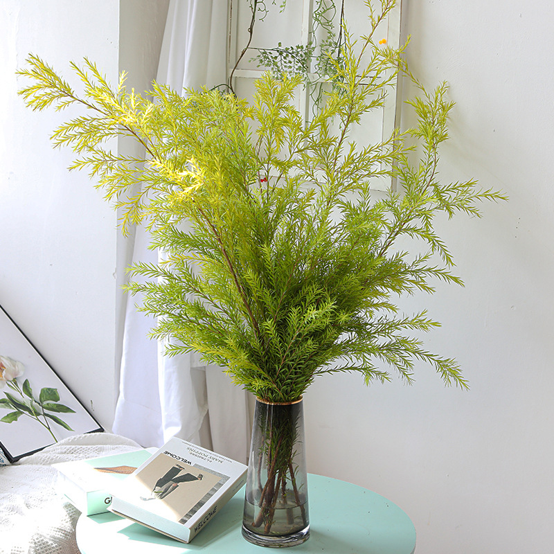 千层金鲜花云南昆明斗南鲜花市场基地直发家用婚庆水养配花配草