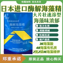 酶解海藻精日本进口海藻叶面肥有机水溶肥蔬菜瓜果促根壮苗肥片状