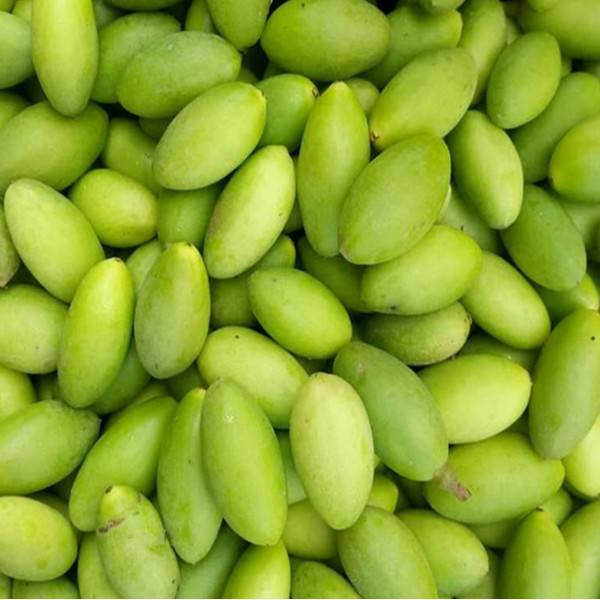 现货新鲜2021两头尖青橄榄500克青果白榄青榄孕妇炖猪肚泡酒橄榄