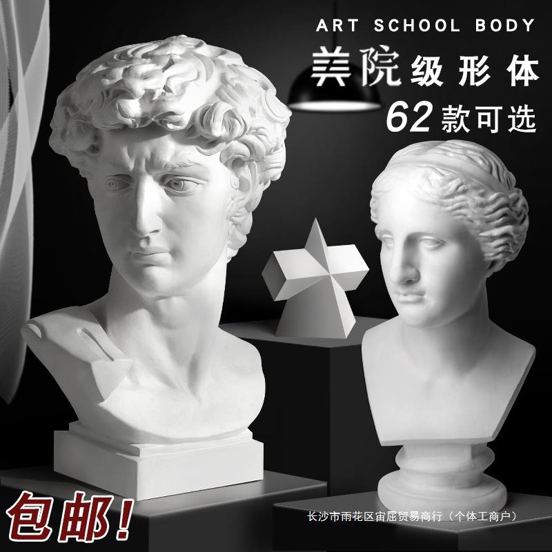 大卫石膏像头像几何体维纳斯马赛阿格里琴女人像阿波罗大号美术教