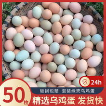 乌鸡蛋绿壳混装土鸡蛋农家散养新鲜草鸡蛋月子蛋孕妇整箱批发