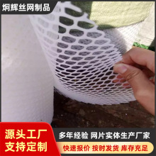 小鸡育雏耐pc防尘网漏粪塑料六角养殖网阳台防坠网围栏隔离塑胶网