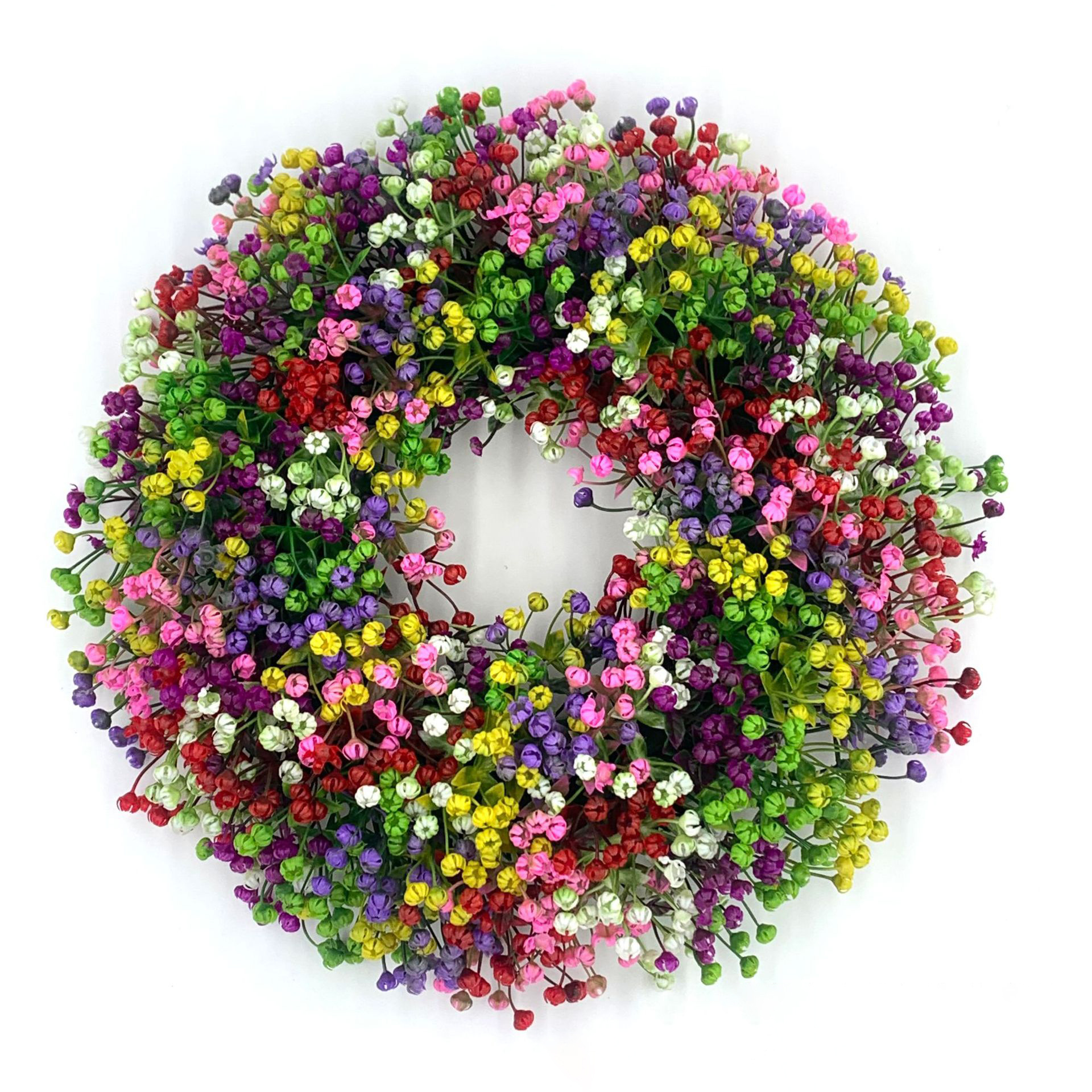 满天星七彩花图片