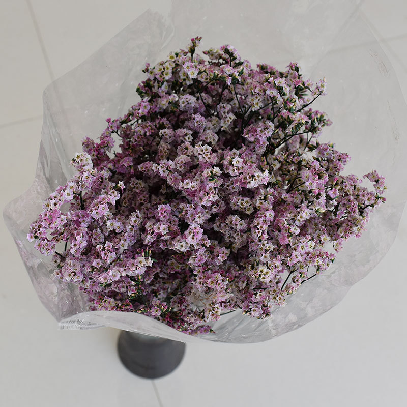 天然永生水晶草花束 文艺气质拍照道具不干枯掉真花家居饰品