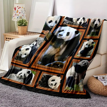 厂家直供可爱熊猫动物相框单面法兰绒毛毯空调毯飞机毯盖毯沙发毯