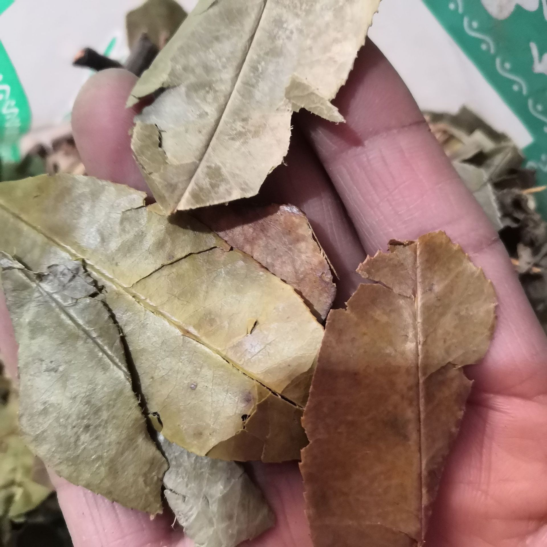 水瓜滕有什么功效_瓜藤的功效与作用点_水瓜藤的功效与作用